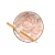 Komplet misek - Ramen Doragon Pink 19.2/900ml BOX