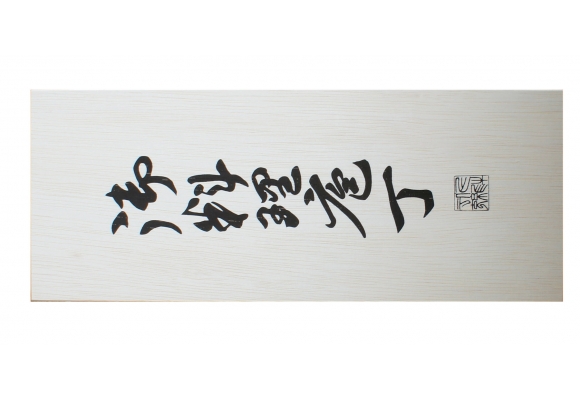 Zestaw noży Satake Megumi - Gyuto, nóż uniwersalny